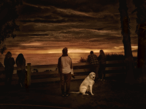 dog looking at camera while everyone else looks at sunset