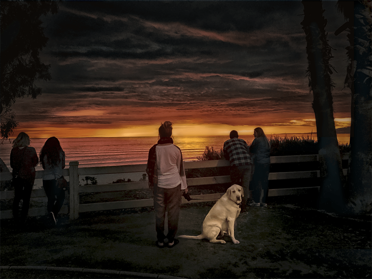 Everybody watching the sunset except a dog turning to look at me and my camera